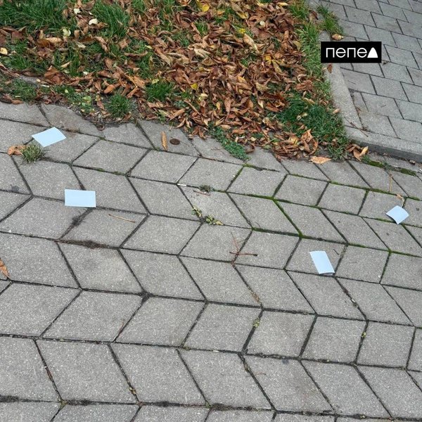 Мадьяр листовки шебекино Мадьяр листовки шебекино