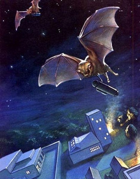 мышки поджигают спящий город с воздуха