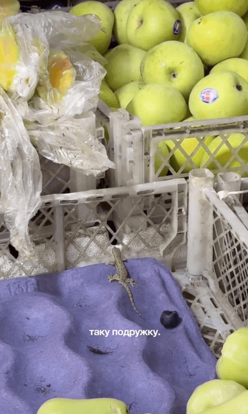 фрукты на рынке