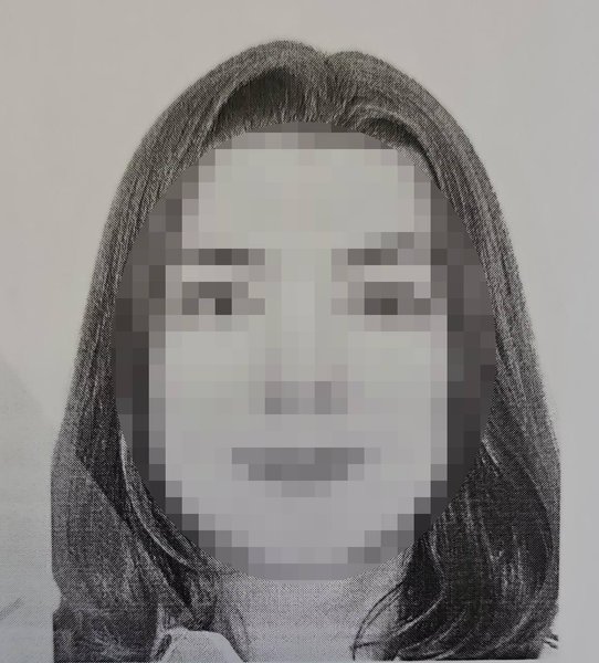 державна підозра, телеграм-канал, київська посадовиця