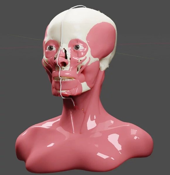 м'язи, мумія, фото