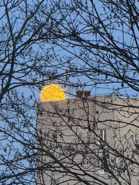 рожевий місяць, повня, квітнева повня