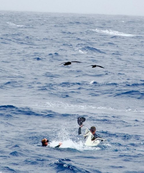 точка немо люди альбатрос