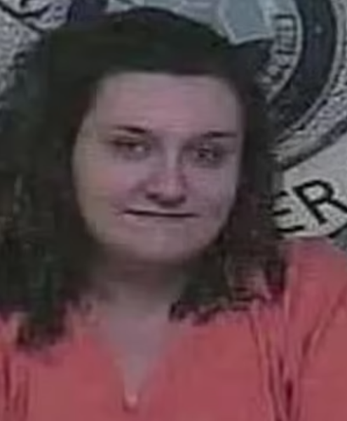 Родители хотели продать своих детей, сестры-близняшки, курьезы, тюрьма, попали за решетку, США