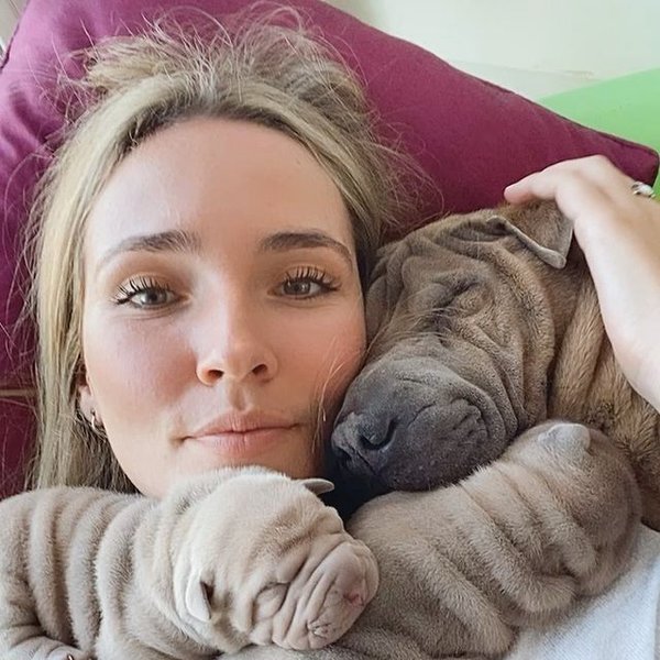 Харви, шарпей