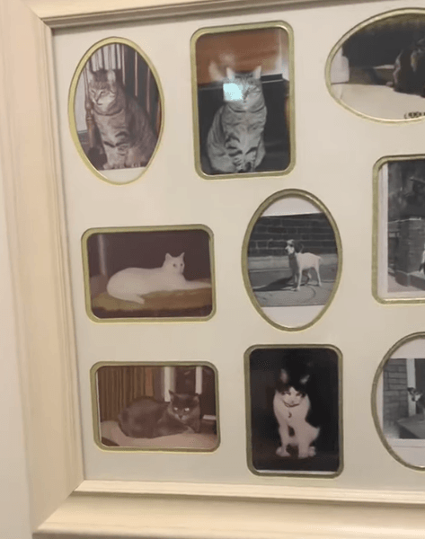 Жінка купила чужу сімейну реліквію на розпродажі, яку вирішила залишити собі назавжди