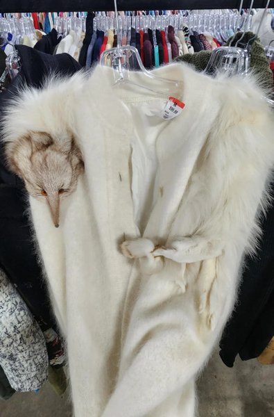 Белая меховая шуба с настоящей головой животного, выставленная на продажу в секонд-хенде