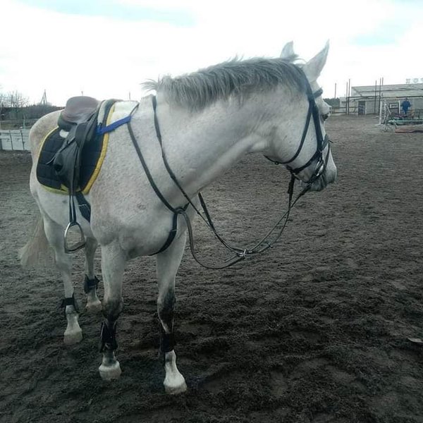 КСК "Виртуоз" разрушен