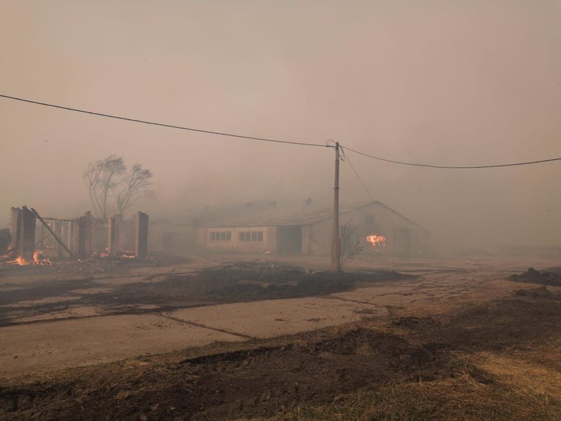 сибирь пожары, лесные пожары, россия пожары, лесные пожары в россии, уяр