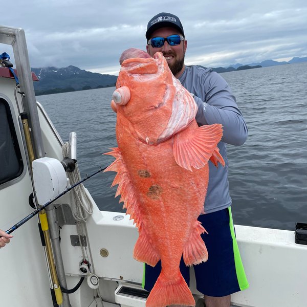 Рыбак поймал огромного морского окуня, северный морской окунь, рекорд штата, вес рыбы, рыбак, улов, розовый гигант