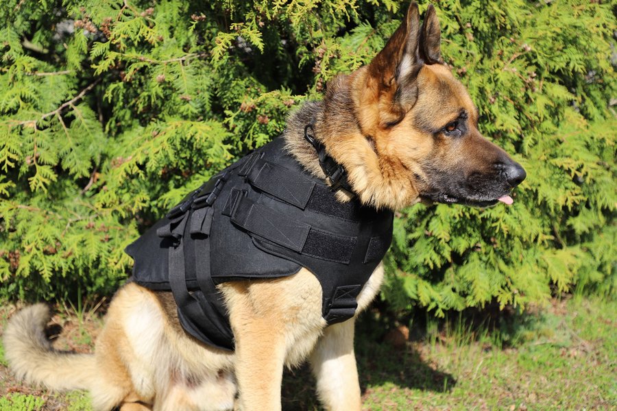США передали собакам-прикордонникам партію бронежилетів