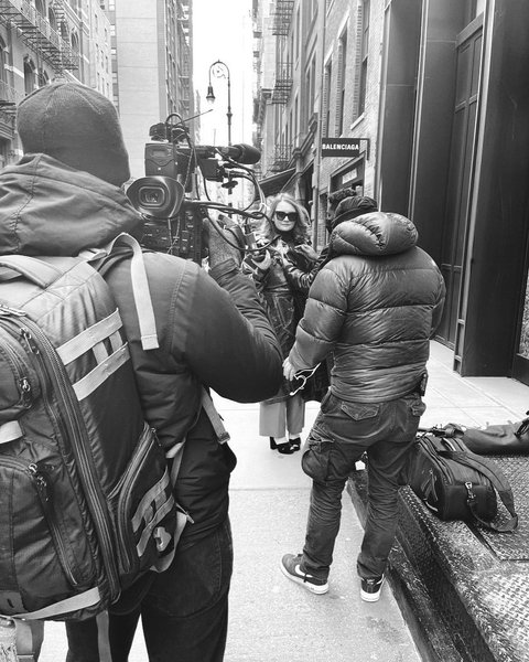 анна сорокина, анна делви, мошенница