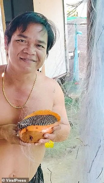 дальнобойщик, таиланд, жемчужина, жемчуг мело