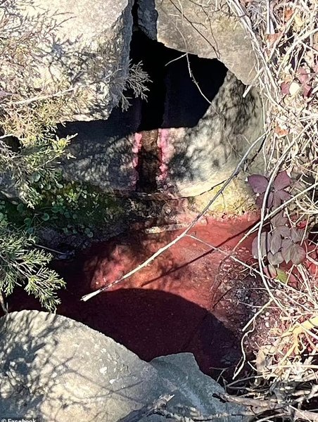 жидкость краска река