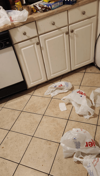 Девушка попросила парня разложить продукты, но все пошло не по плану