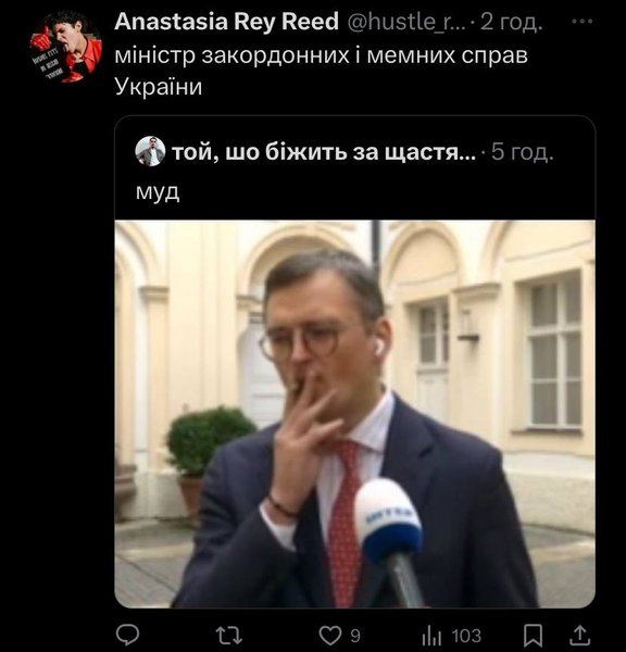 Дмитро Кулеба, телемарафон, курйоз, український дипломат, МЗС України