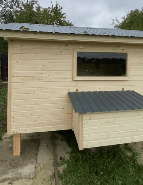 Курятник своими руками