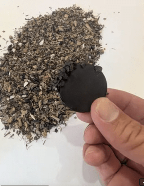 Втрачена колонія - куди зникли англійці в США понад 400 років тому3