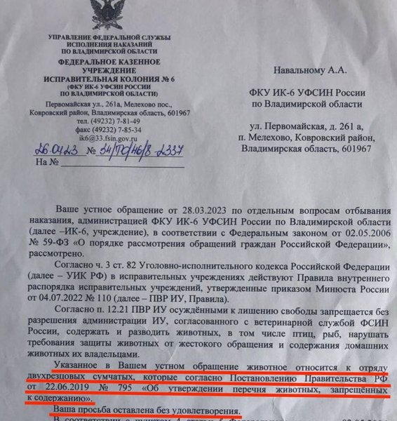 Переписка Навального с администрацией колонии, навальный шизо, навальный колония, навальный кенгуру