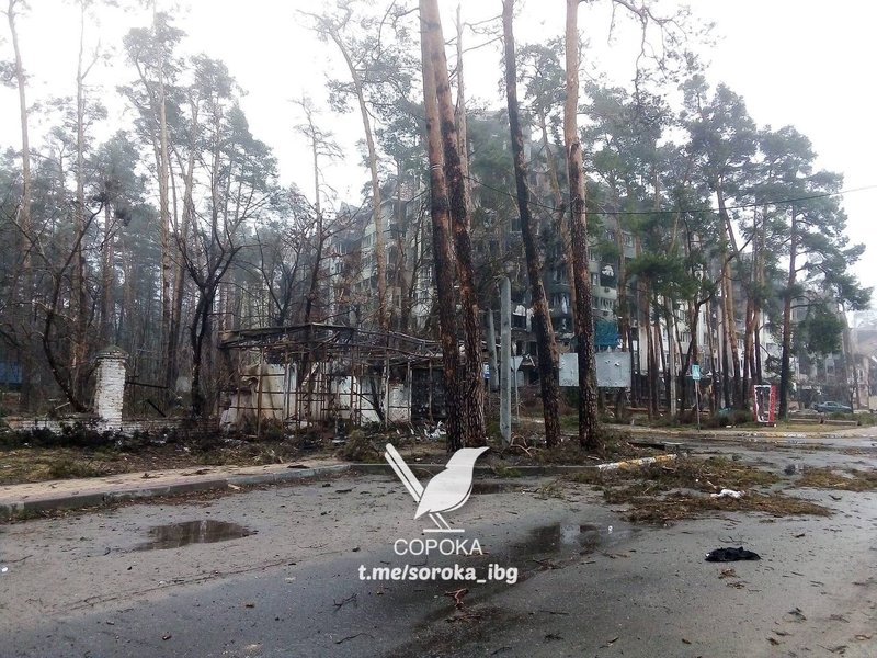 ирпень, киевская область, оккупанты, война в украине, освобождение ирпеня