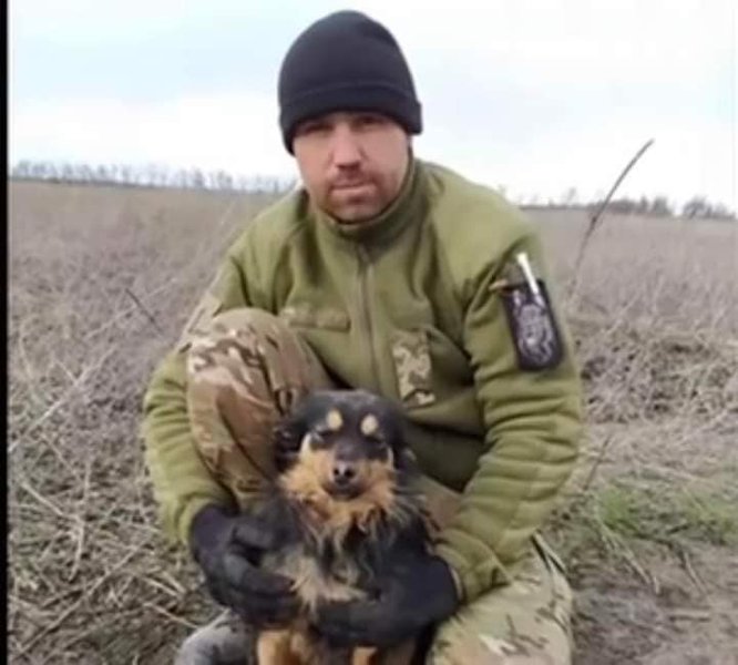 сергей сова, никополь, кинолог