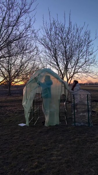 Пара обустраивает теплицы в деревне