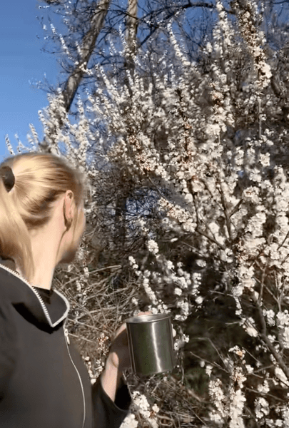 украинка купила дом