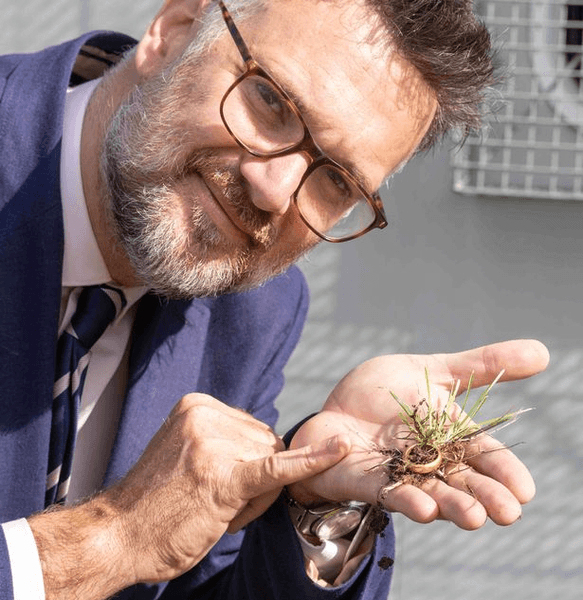 Найденное 500-летнее кольцо, кольцо, украшение, давняя реликвия, нашел металлоискателем, послание внутри, кольцо Posy