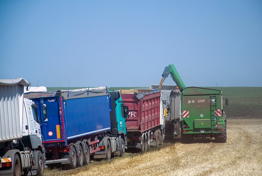 урожай, перевозка зерна