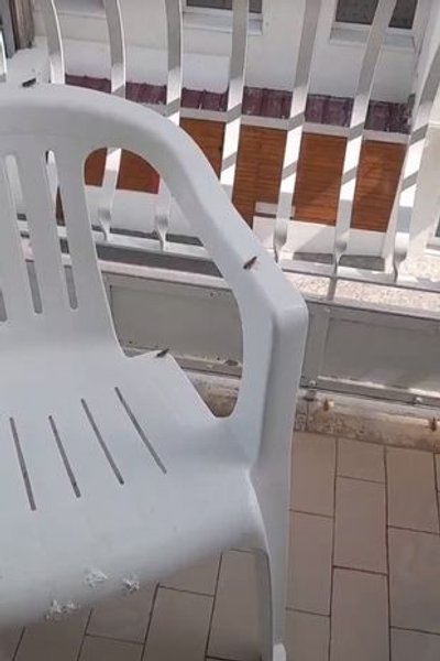 Нашествие кузнечиков на юге Италии