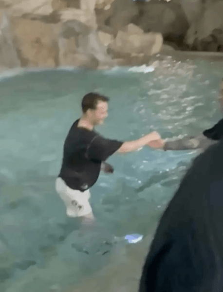 У Римі турист стрибнув у фонтан Треві й одразу зустрів поліцію