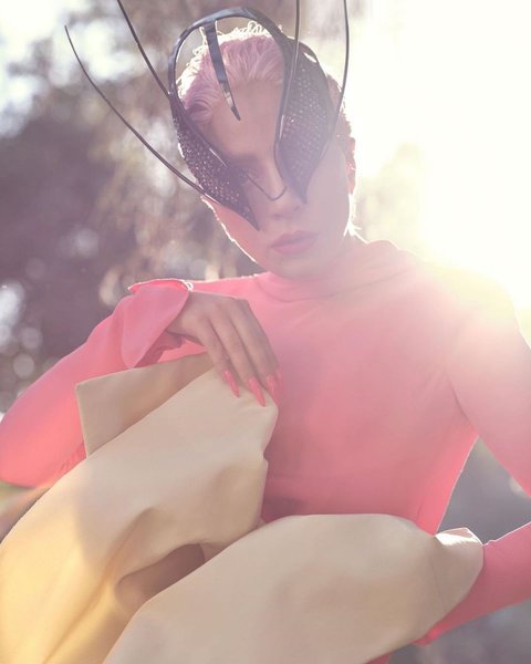 леди гага, певица, свадьба