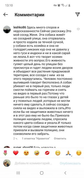 избили собаку, избили хаски, одесса