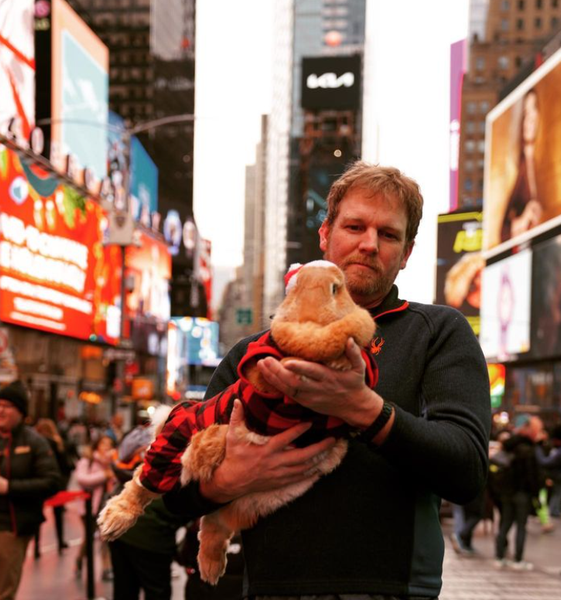 Кролик, звери, домашние любимцы, животные, курьезы, фото, видео, тренды TikTok, Instagram