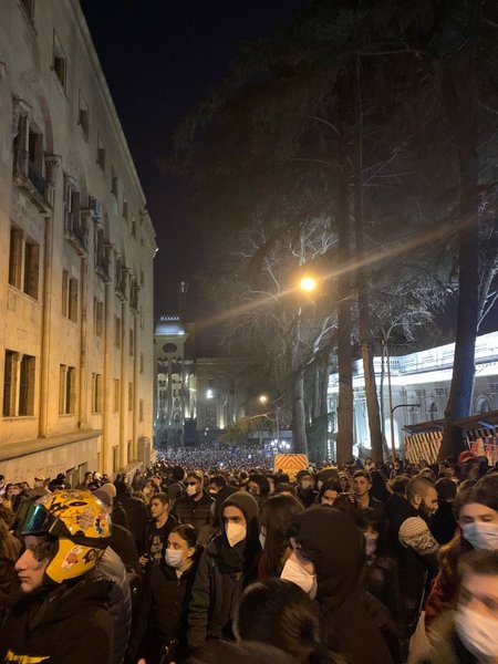 тбилиси митинг, грузия миинг, тбилиси акция протеста, полиция