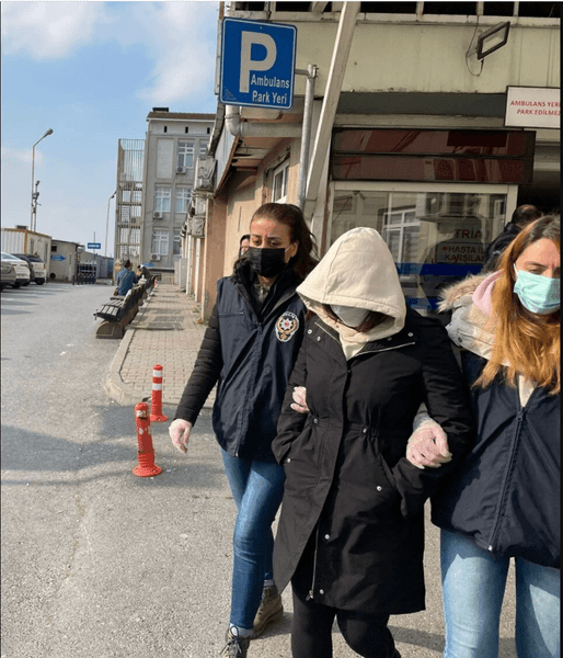 Эрдоган, оскорбление. задержанная