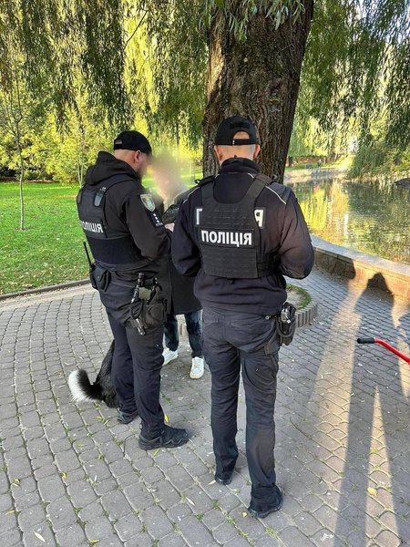 В Ивано-Франковске собака загрызла лебедя