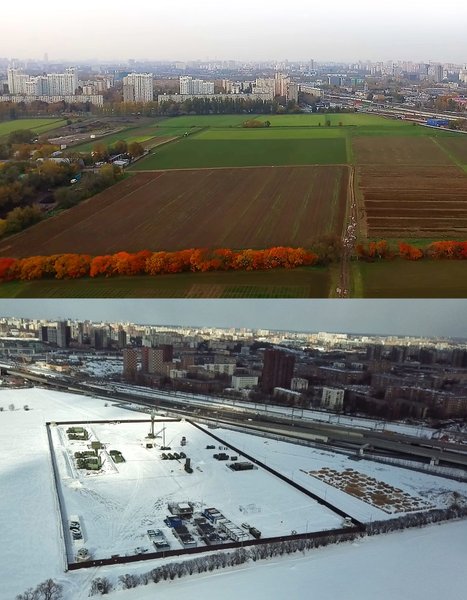 вырубка леса для пво