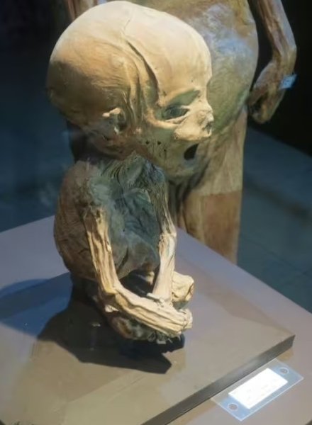 мама бебе мама бебе