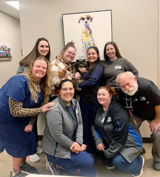 Кота нашли за 2000 км от дома через 5 лет, поиск животных, потерянные коты, США