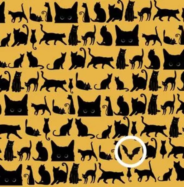 Визуальная головоломка, силуэты, проверка зрения, проверка внимательности, орлиное зрение, Хэллоуин, орлиное зрение