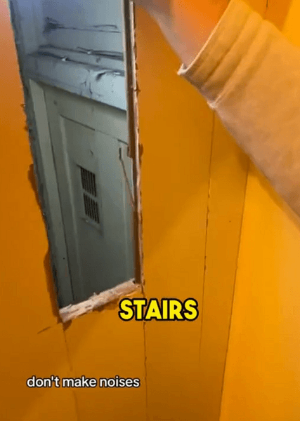 Дверь, подвал, тайная комната, неожиданная находка, комната под лестницей, потайные коридоры, жуткая находка, скрытое помещение в доме