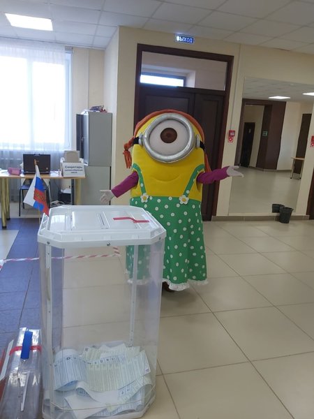 Выборы, миньон, Госдума