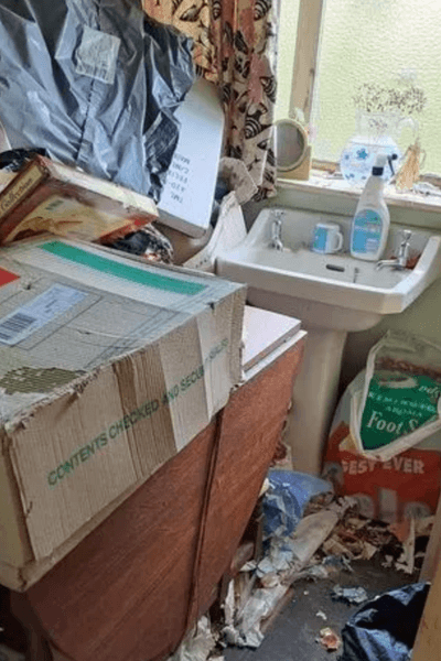 Купівля незвичайного будинку