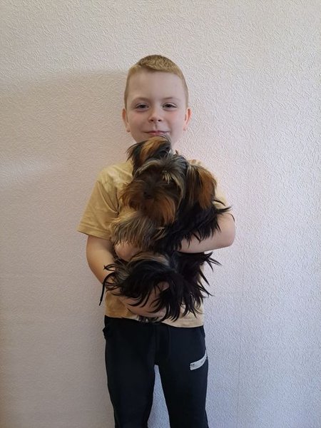 александр изиев, белая церковь, взрыв, школьник