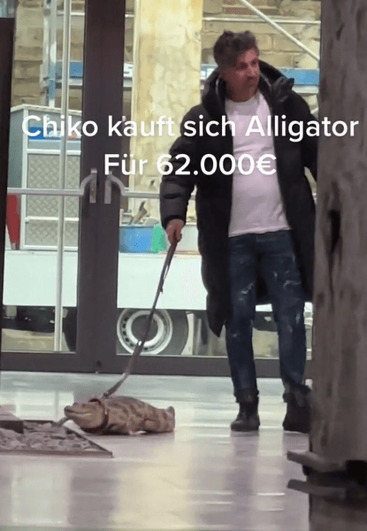 Победитель лотереи, миллионер, бывший преступник, хочет стать актером, огромные траты, домашний аллигатор, был наркоманом