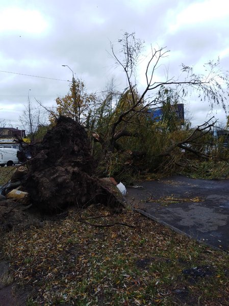 Украина, непогода, ураганный ветер, сильный дождь