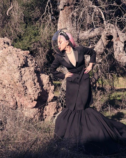 леди гага, певица, свадьба