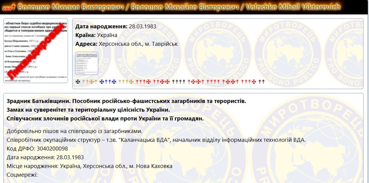 Удар по Хорлам — информация о Михаиле Волошине