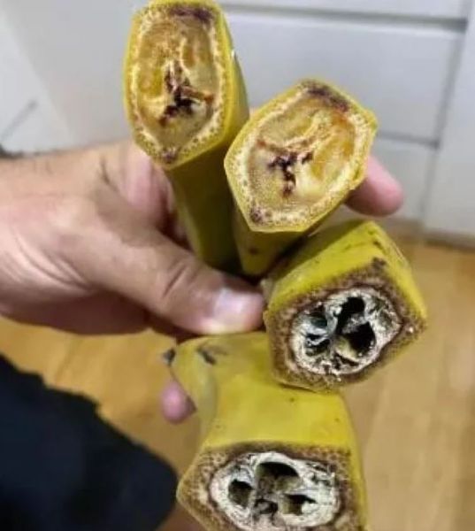 Женщина из Австралии нашли сюрприз внутри бананов, что она увидела внутри, курьезы, интересности